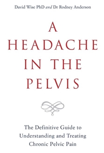 Bild på Headache in the pelvis - the definitive guide to understanding and treating