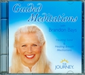 Bild på Guided Meditations with Brandon Bays