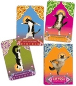 Bild på Cat yoga postcards