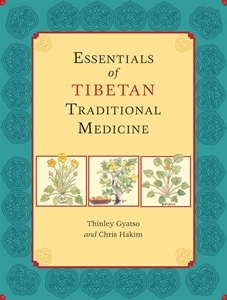 Bild på Essentials of tibetan traditional medicine