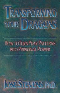 Bild på Transforming Your Dragons : How to turn fear patterns into personal power