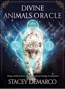 Bild på Divine Animals Oracle: Deep Wisdom from the Most Sacred Beings in Existence