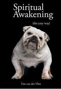 Bild på Spiritual awakening - (the easy way)