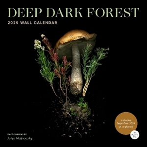 Bild på Deep Dark Forest 2025 Wall Calendar