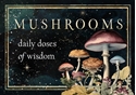 Bild på Mushrooms: Daily Doses of Wisdom (36 Gilt-Edged Full-Color Cards)